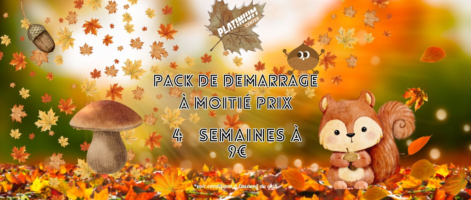 Pack starter OFFERT